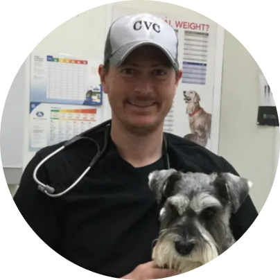 Dr. David Hudson